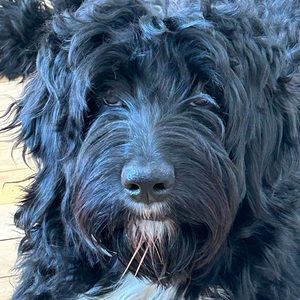 Meet your Posher, Celia